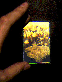 Various commercial holograms
on dichromate gelatin c.1978/79