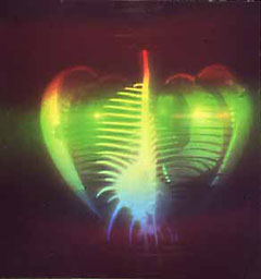HEART & SHELL 1981