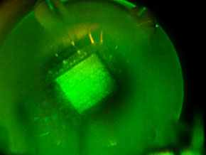MICROSCOPE
View into microscope