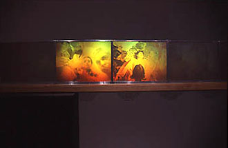 Hologram view 1
